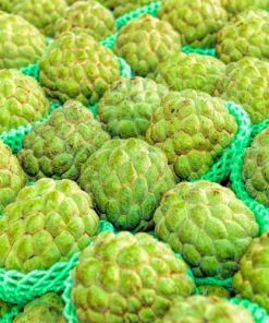 Custard Apple