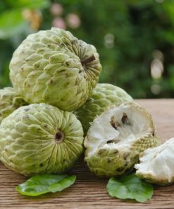 Custard Apple