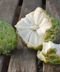 Custard Apple